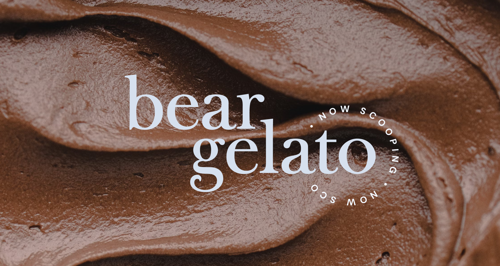 Bear logo displayed on rich chocolate gelato background